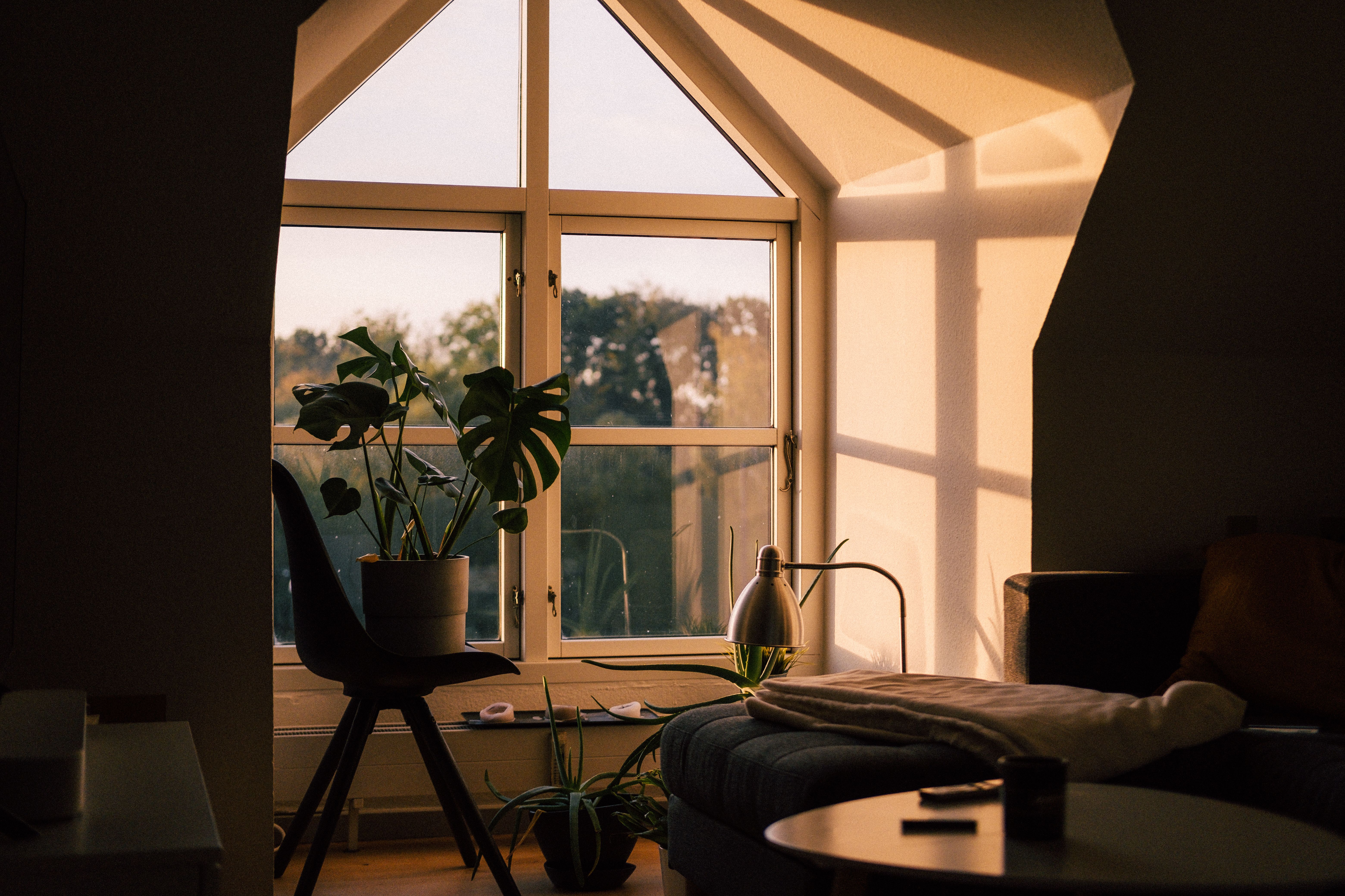 Modernes Fenster mit Landschaftsblick
